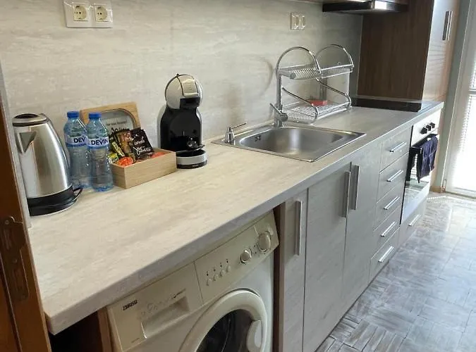 公寓 Garden 普罗夫迪夫